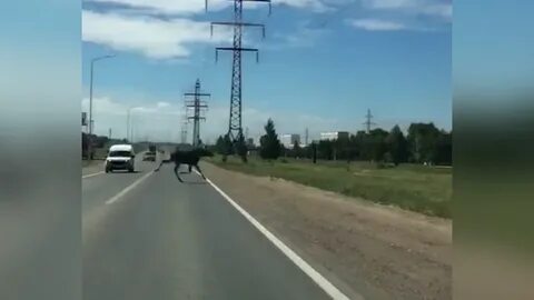 Закрытие дорог в татарстане 2024