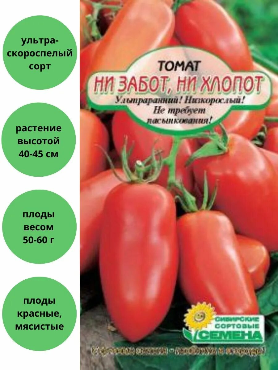 Сорт помидор не забот не хлопот. Томат низабот от ни хлопот. Сорт помидор ни забот ни хлопот. Томат ни забот ни хлопот Уральский Дачник. Ни забот ни хлопот томат описание отзывы