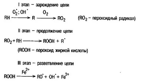 Пероксидный радикал