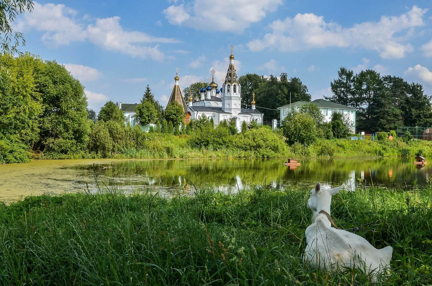 Р подмосковный. Сидоровское (Московская область). Церковь Николая Чудотворца Сидоровское. Сидоровское Костромская область. Храм Николая Чудотворца у реки в Подмосковье.