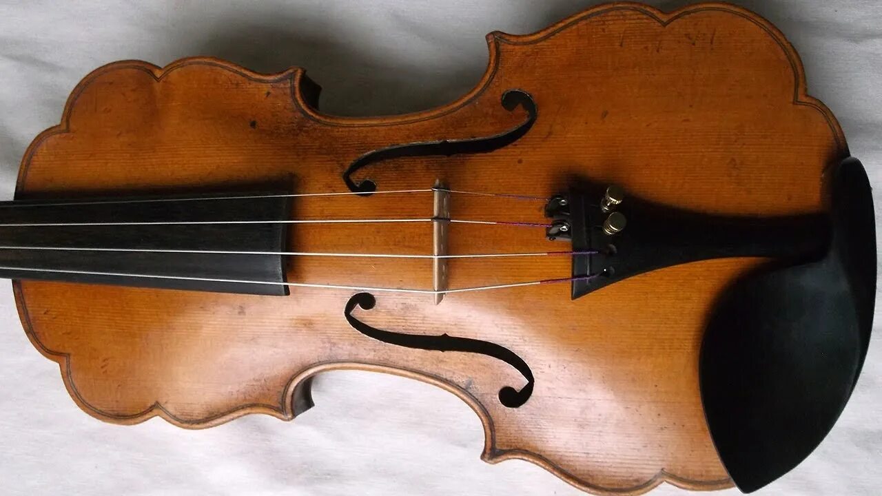 Виды скрипичных. Разновидности скрипок. Ус у скрипки. Усы у скрипки. Violine скрипка.