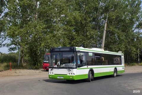 59 автобус ярославль