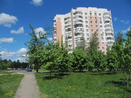Митино 15