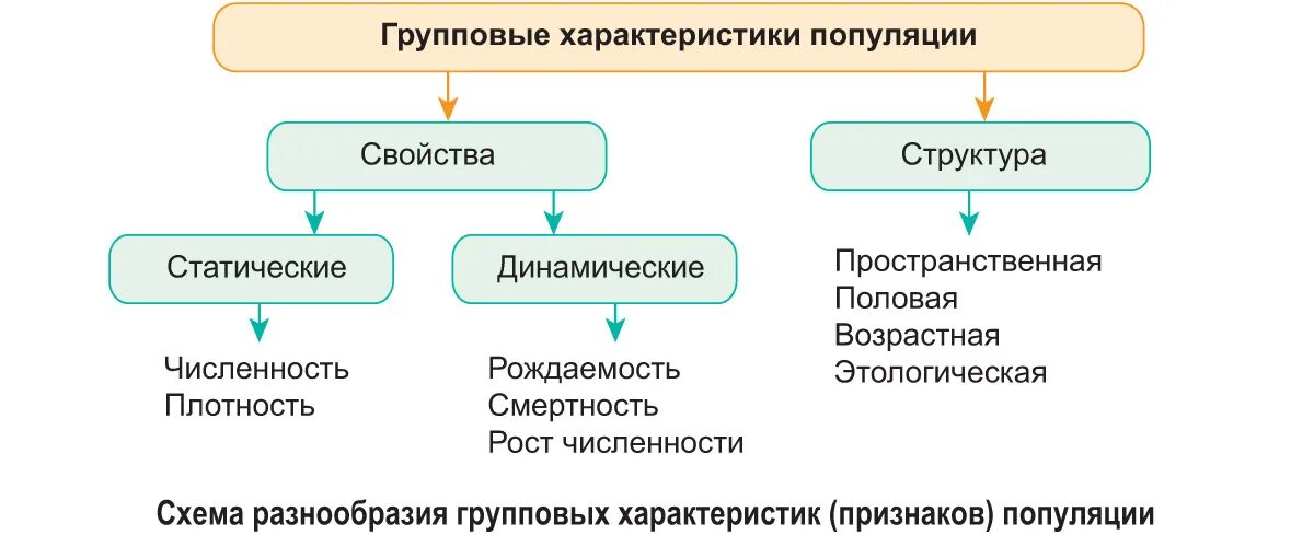 Популяция человека процессы