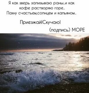Приезжай сюда на берегу