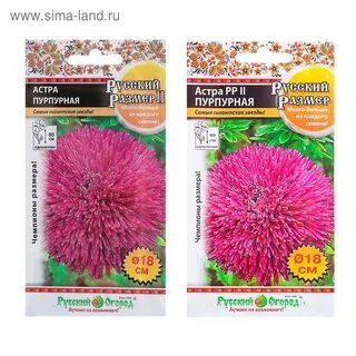 Семена русский размер