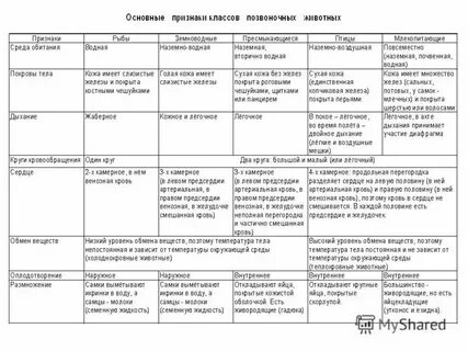 Сравнительная характеристика позвоночных животных