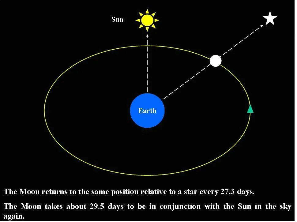 Earth's Orbit around the Sun. Earth Orbits the Sun. The Moon Orbits: the Sun. The Moon Orbits around the Earth. Песня the sun proposed to the moon