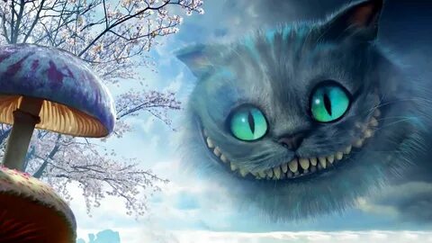 Кот из оно