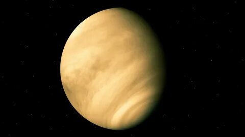 Ai venus