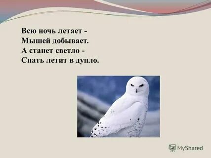 Спи спи черное море