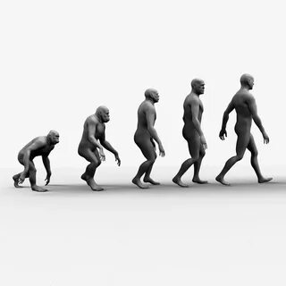 3d evolution
