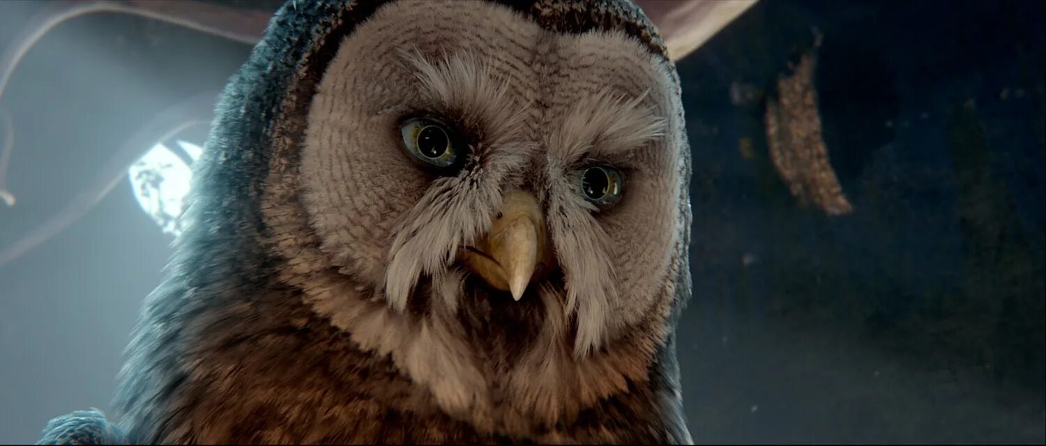 Ga hoole guardians the owls legend. Легенды ночных стражей мультфильм. Легенды ночных стражей сумрак. Легенды ночных стражей 2010. Легенды ночных стражей фильм.