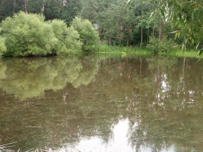 Водоемы домодедово