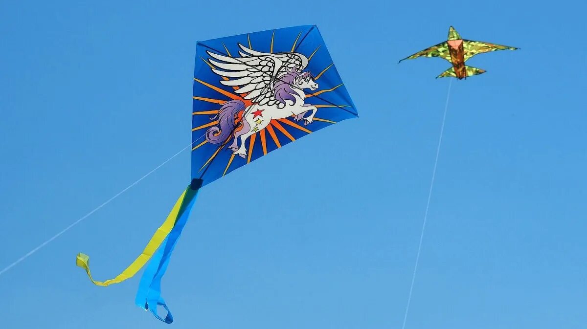 Площадь воздушных змеев. Фестиваль воздушных змеев в Воронеже. Воздушный змей с камерой. Воздушный змей треугольной формы. Советские воздушные змеи.