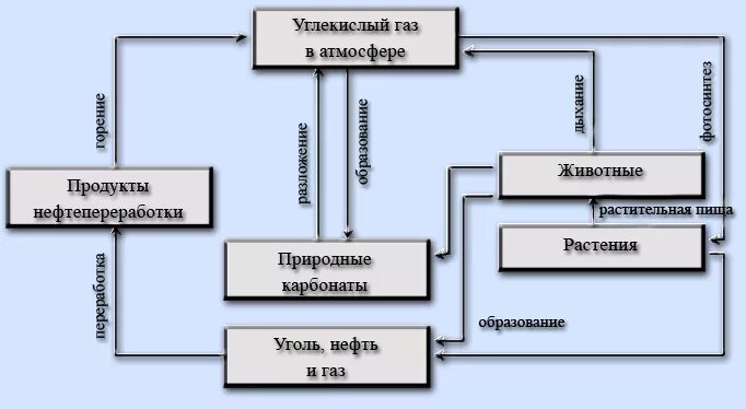 рамад, 1981). круговорот углекислого газа в биосфере. круговорот углекислого газа схема. круговорот углерода в биосфере. круговорот углекислого газа схема.