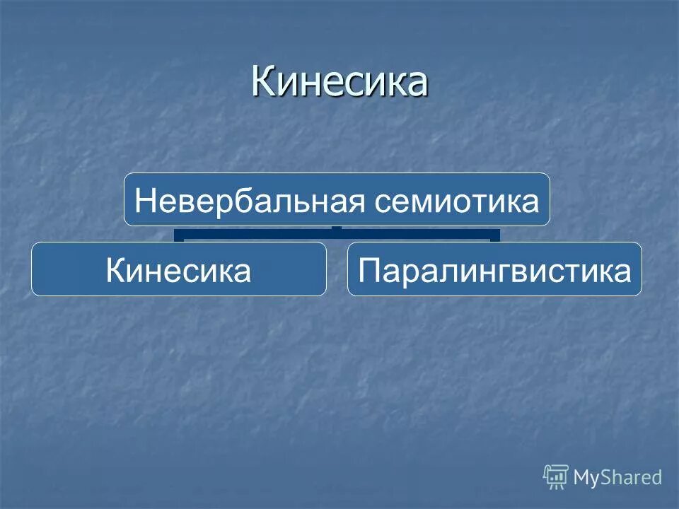 семиотика дискурса