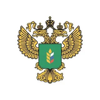 Мсх гов