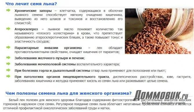 Семена льна для чего используют в зернах. Лечебные свойства льна семян льна. семена льна полезные. чем полезны семена льна. чем полезен льняное семя.