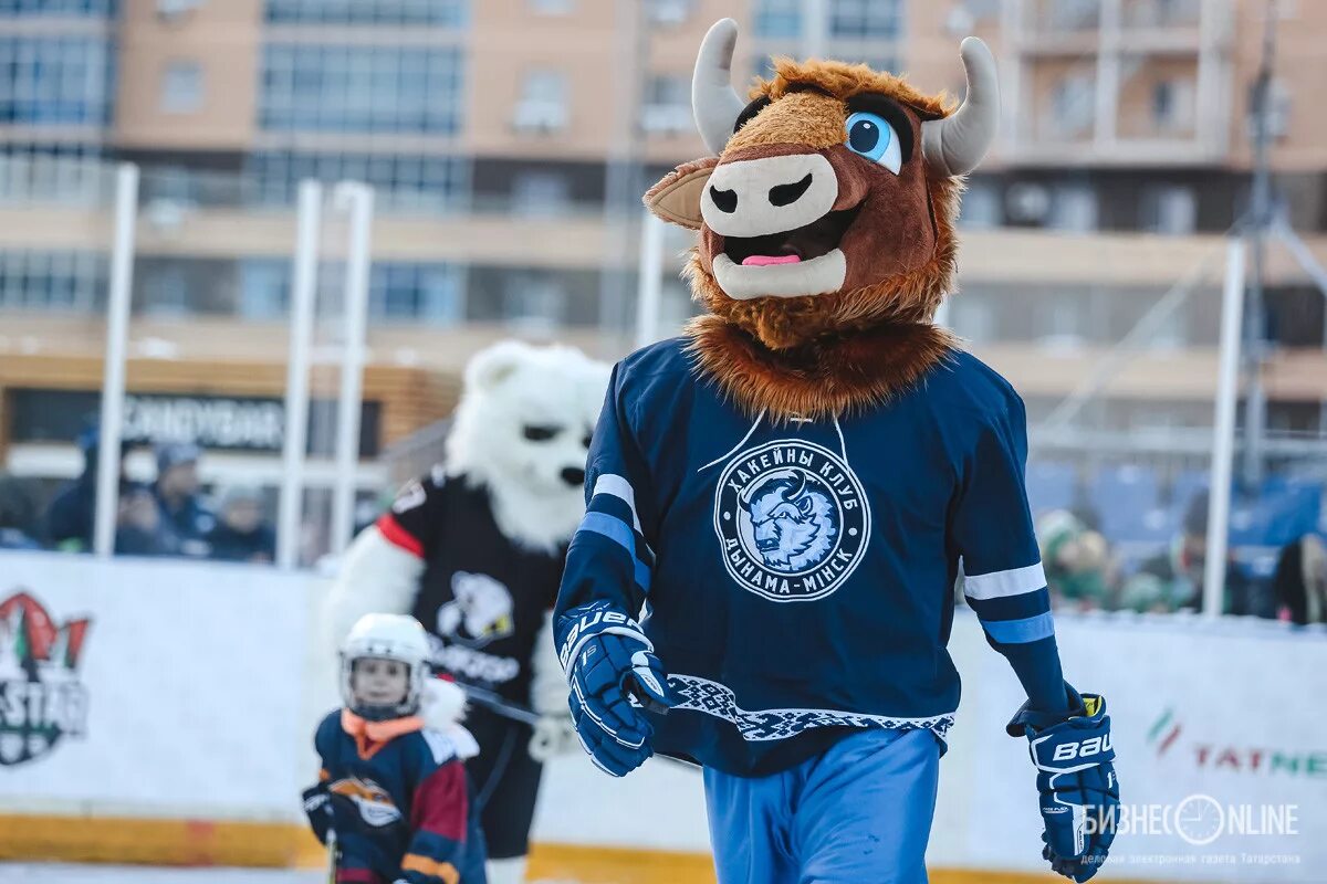 Маскот северстали. Маскоты хоккейных команд КХЛ. Маскот Динамо. Маскот KHL. Маскот хк Динамо.