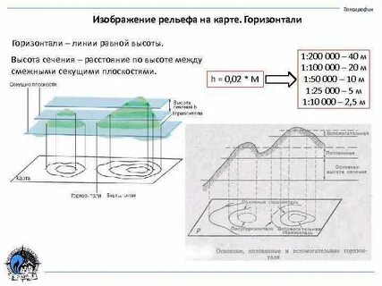Сечение горизонталей