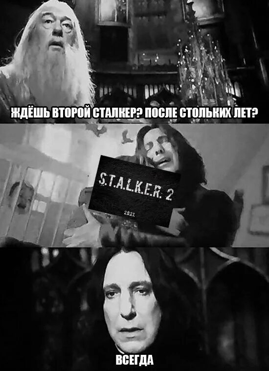 Столько лет она так и. После стольких лет. после стольких лет всегда. после стольких лет всегда картинки. через столько лет всегда.