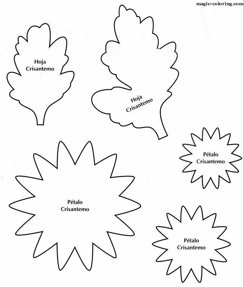 Шаблон хризантемы. Выкройки цветов. Цветок шаблон. Лекало цветов из фоамирана. Трафареты из фоамирана.