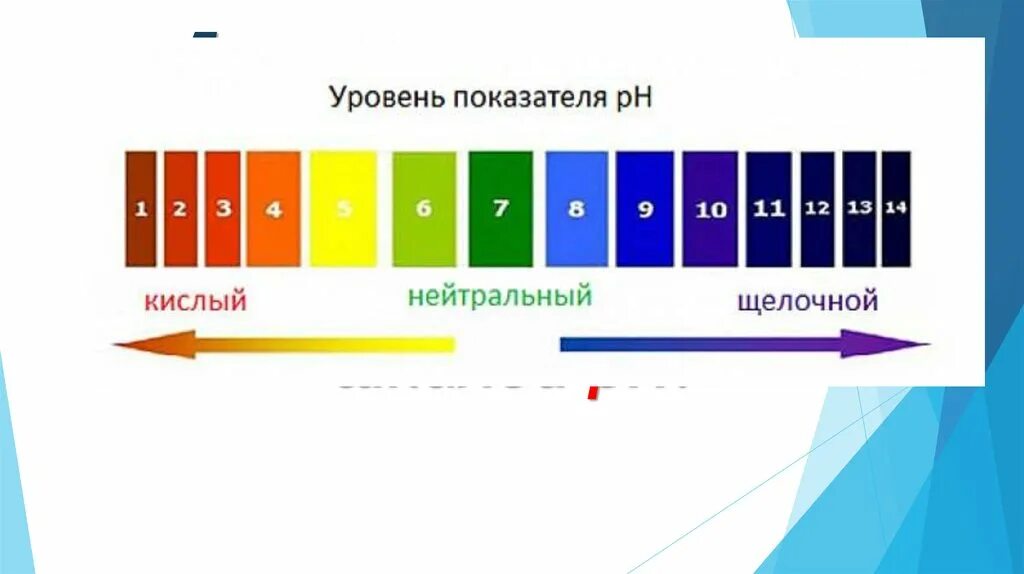 Кислотность кожи. Показатели PH кислой и щелочной среды. Шкала водородного показателя РН. Уровень показателя PH. Уровень PH шкала.