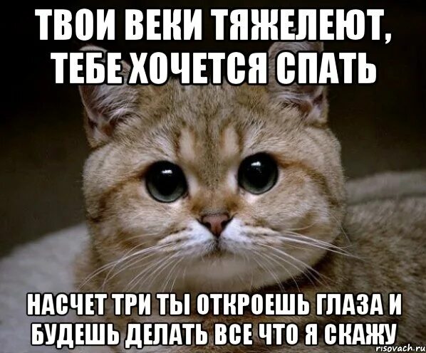 Почему хочется спать весной и нет сил. Когда хочется спать. Что делать если хочешь спать. Что делать если хочется спать. Што делот если хочиш спат.