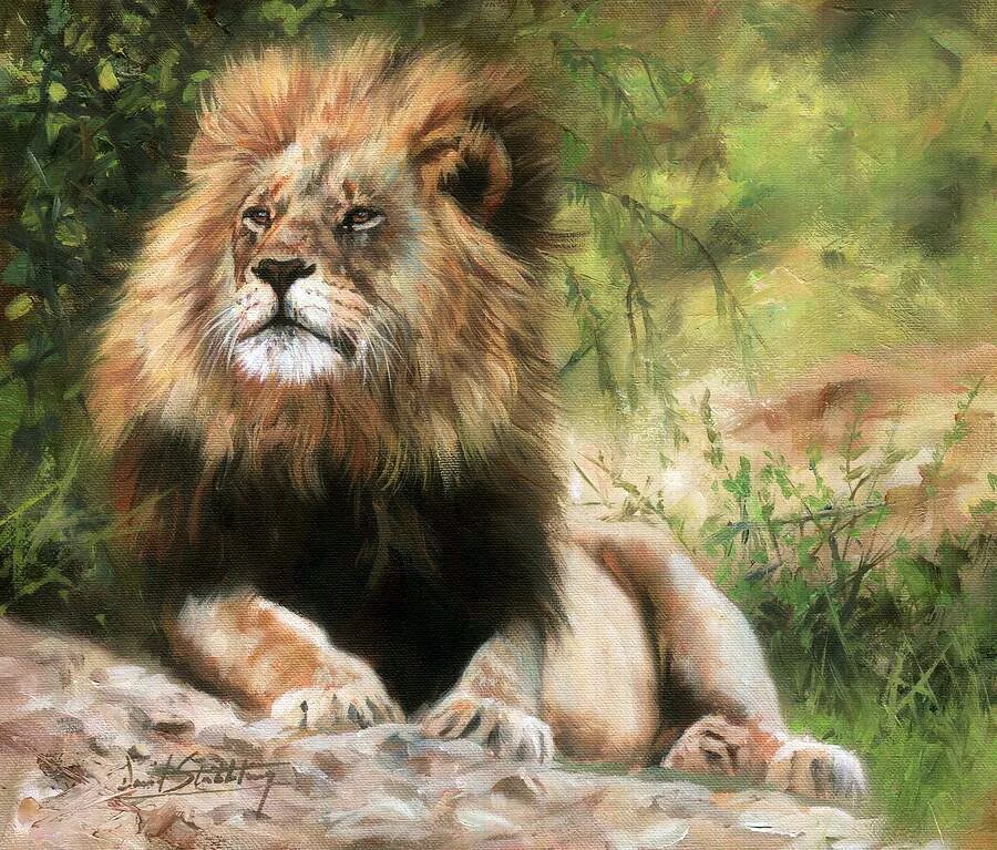 Картины левы. David Stribbling Lion. Лев живопись. Картина Лева. Зоопарк картины художников.