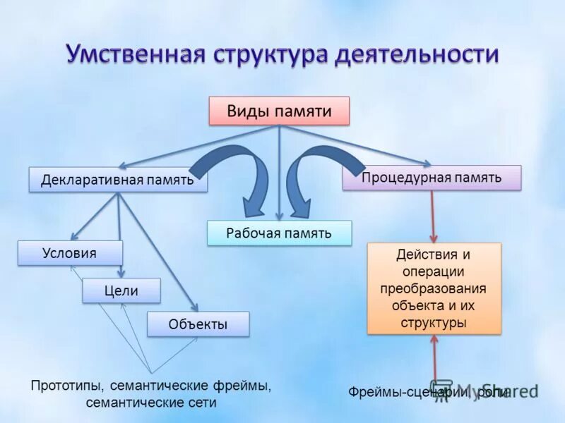 Процедурная память. Декларативная память. Виды памяти декларативная. Долговременная память декларативная.