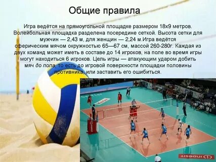 Число волейбол
