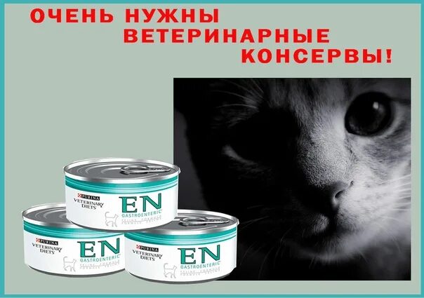 Вискас сухой корм состав. Корм для кошек нежные кусочки с кроликом в соусе. Кошка да. Сухой корм пурина ван состав. Корм для кошек еда.