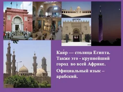 Язык в каире
