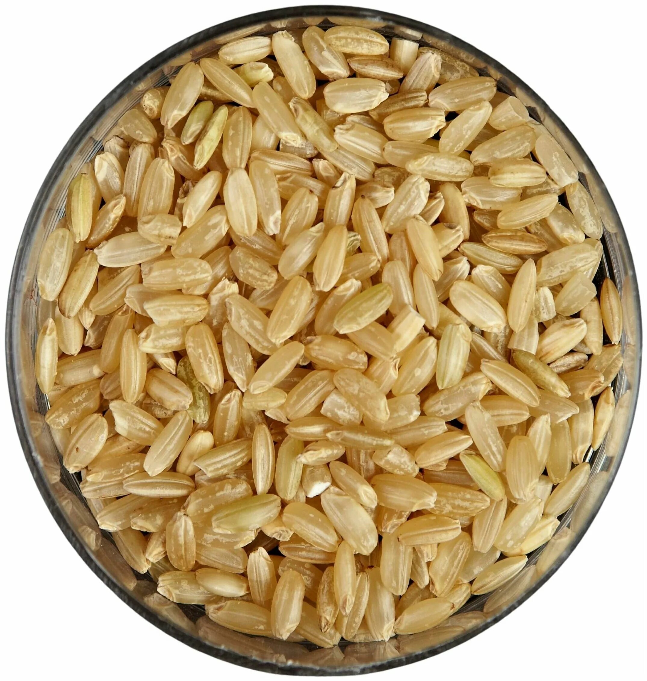 Коричневый рис блюда. Плов с бурым рисом. Rice with white plate. Коричневый нешлифованный рис. Плов с бурым рисом и курицей.