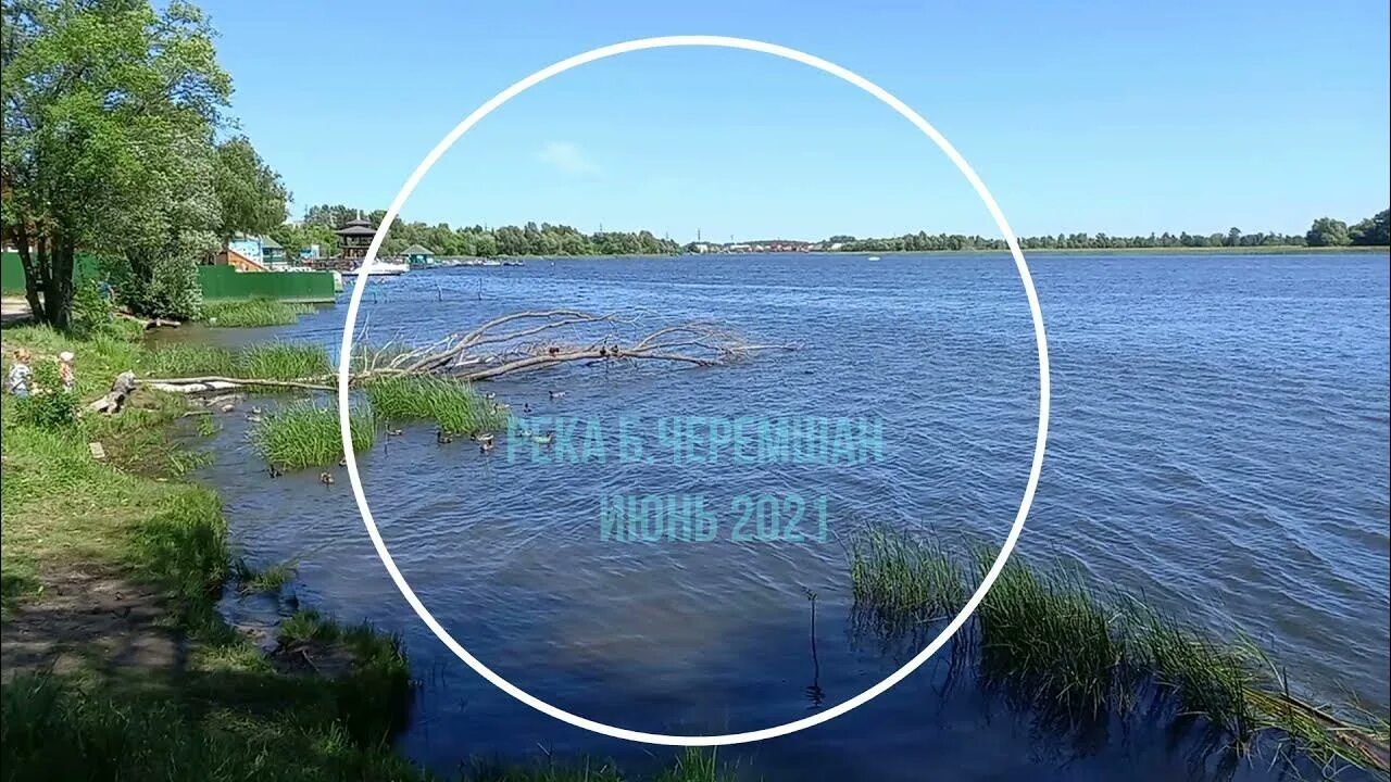 Вода в черемшане