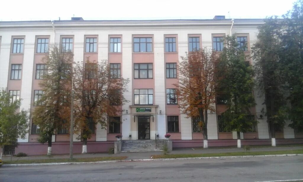 95 школа минск. 26 школа минск. Минск 95 школа внутри. 95 школа минск. 115 школа минск.