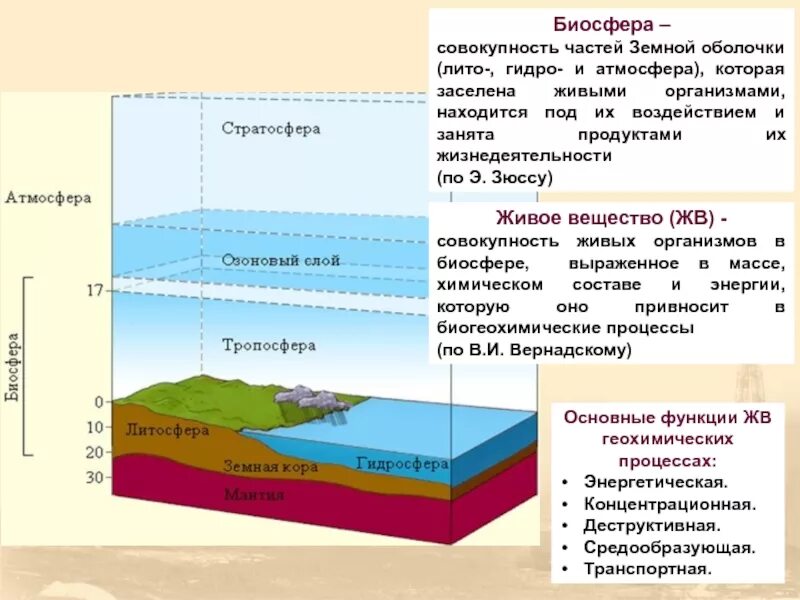 Биосфера это совокупность. Масса живого вещества в биосфере. Основная масса живого вещества биосферы. Геологические функции биосферы. Равномерно ли распределены организмы в биосфере