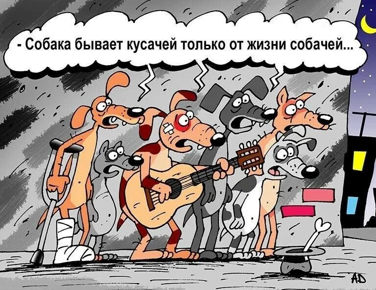 А не только от. Собака карикатура. бродячие собаки карикатура. карикатура щенок. собака бывает кусачей только от жизни собачей.