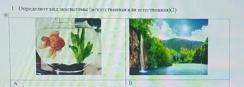 Тест экосистемы 9 класс вариант 2