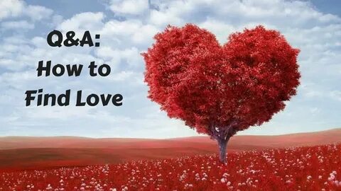 Love to find