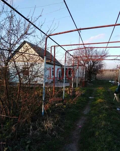 Погода станица староизобильная ставропольский. Погода станица староизобильная ставропольский. Станица каменнобродская. Станица староизобильная ставропольский край фото. Ст староизобильная сад.