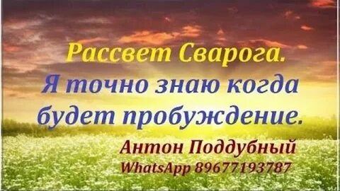 Форум рассвет сварога большаковой