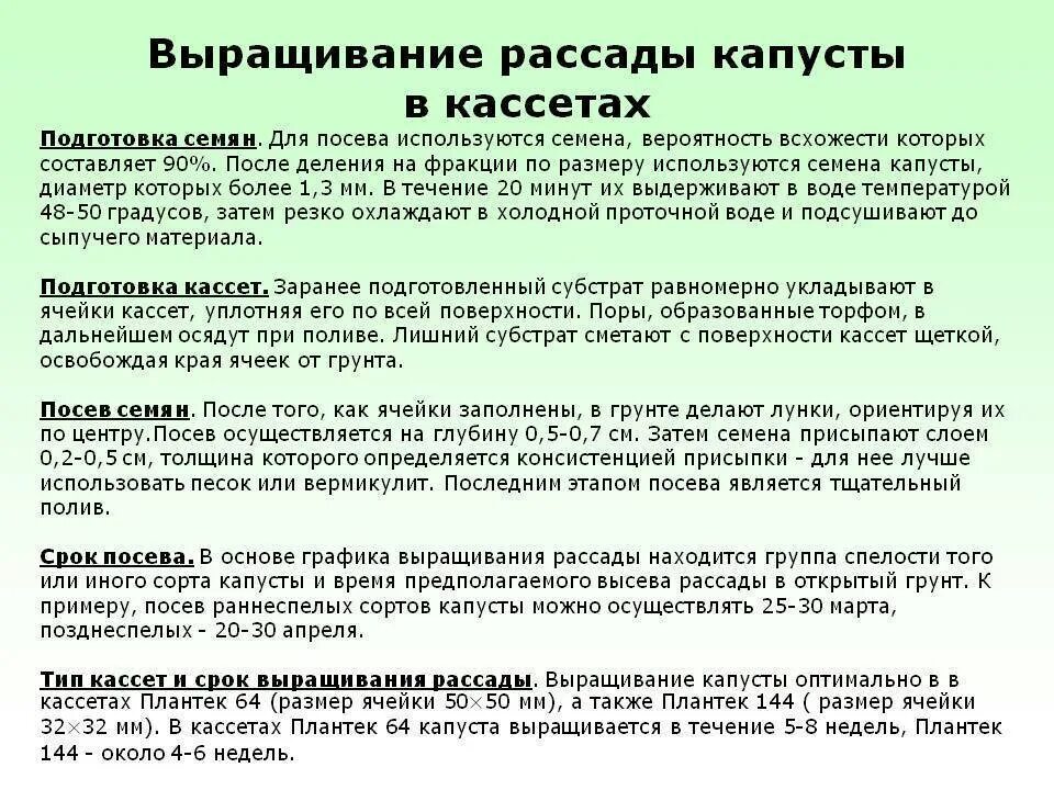 Сроки высадки капусты. Сроки посадки капусты на рассаду. Сроки посадки семян капусты на рассаду. Сроки высева семян на рассаду. Сроки посева цветной капусты на рассаду.