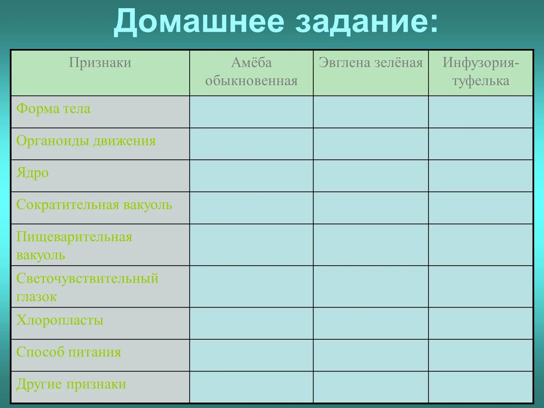 Сходство и различие одноклеточных. Строение простейших таблица. Таблица амеба эвглена инфузория туфелька. Амеба эвглена инфузория таблица. Способы форма тела простейших амеба.