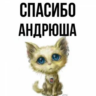 Картинка андрюше