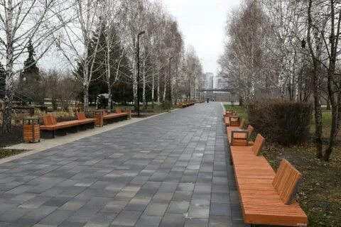 Облик парка