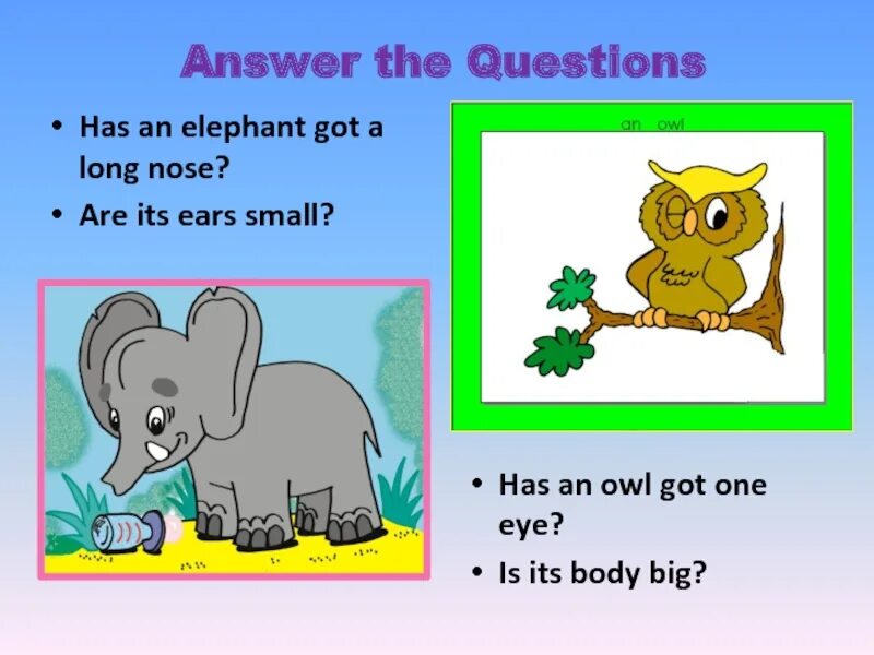 Elephants has got или have got. Elephants have got или has got big Ears. I have got a big nose. Английский для детей have got животные.