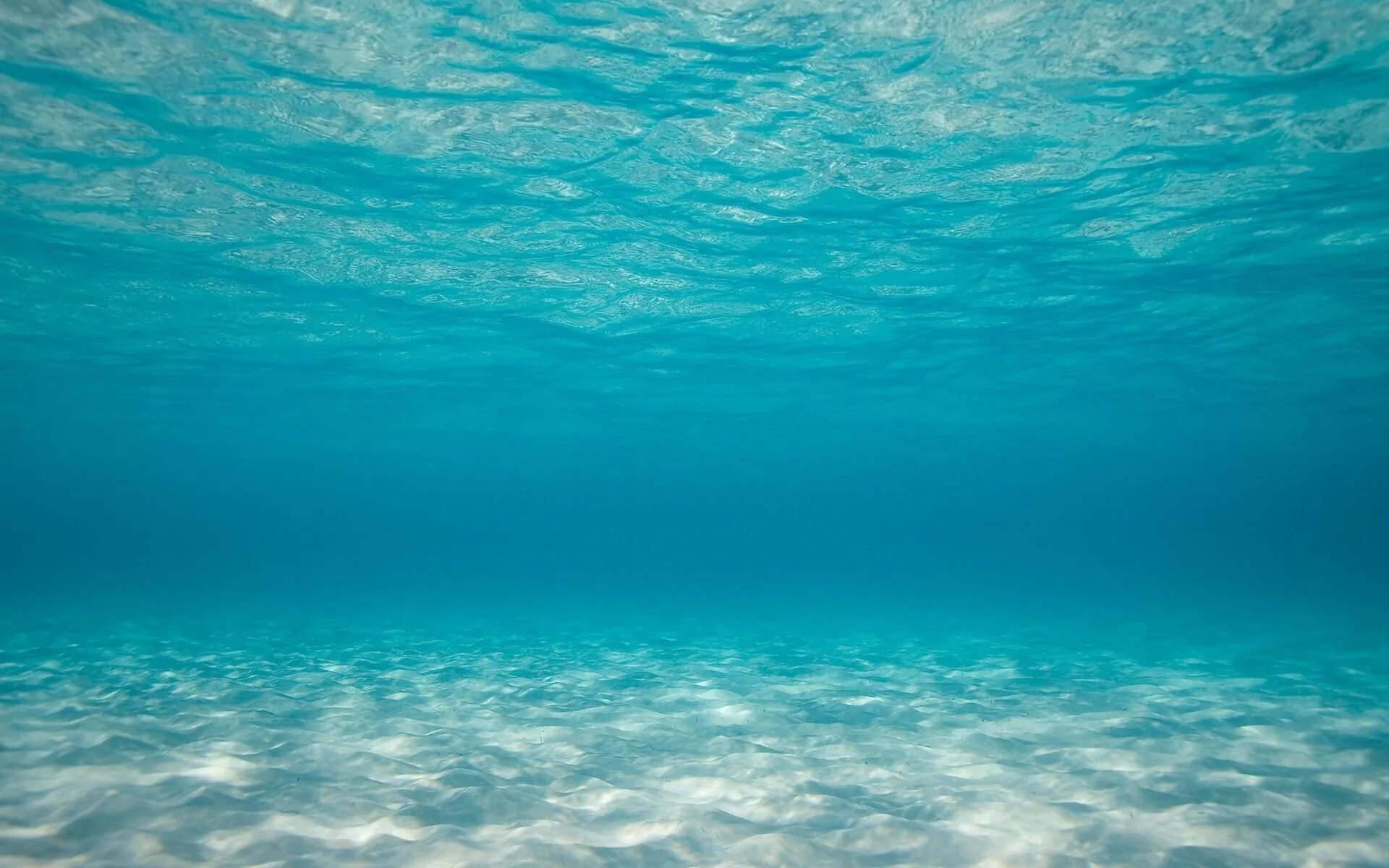 Жизнь в глубине моря. Океан под водой. Море под водой. Морское дно. Фон море.