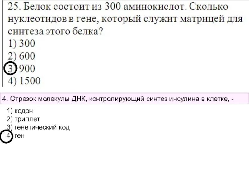 Задачи по биологии по молекулярной биологии. 300 нуклеотидов сколько аминокислот кодируют. Аминокислоты состоят из. Молекулярная масса участка гена. Сколькими аминокислотами кодируется белок.